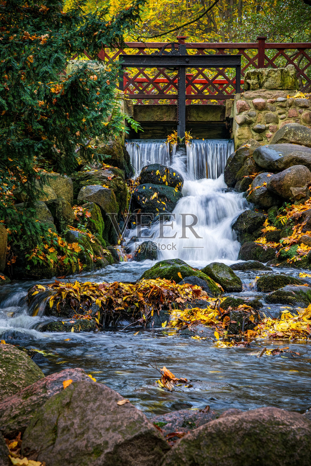 美丽秋季花园中的瀑布照片摄影图片