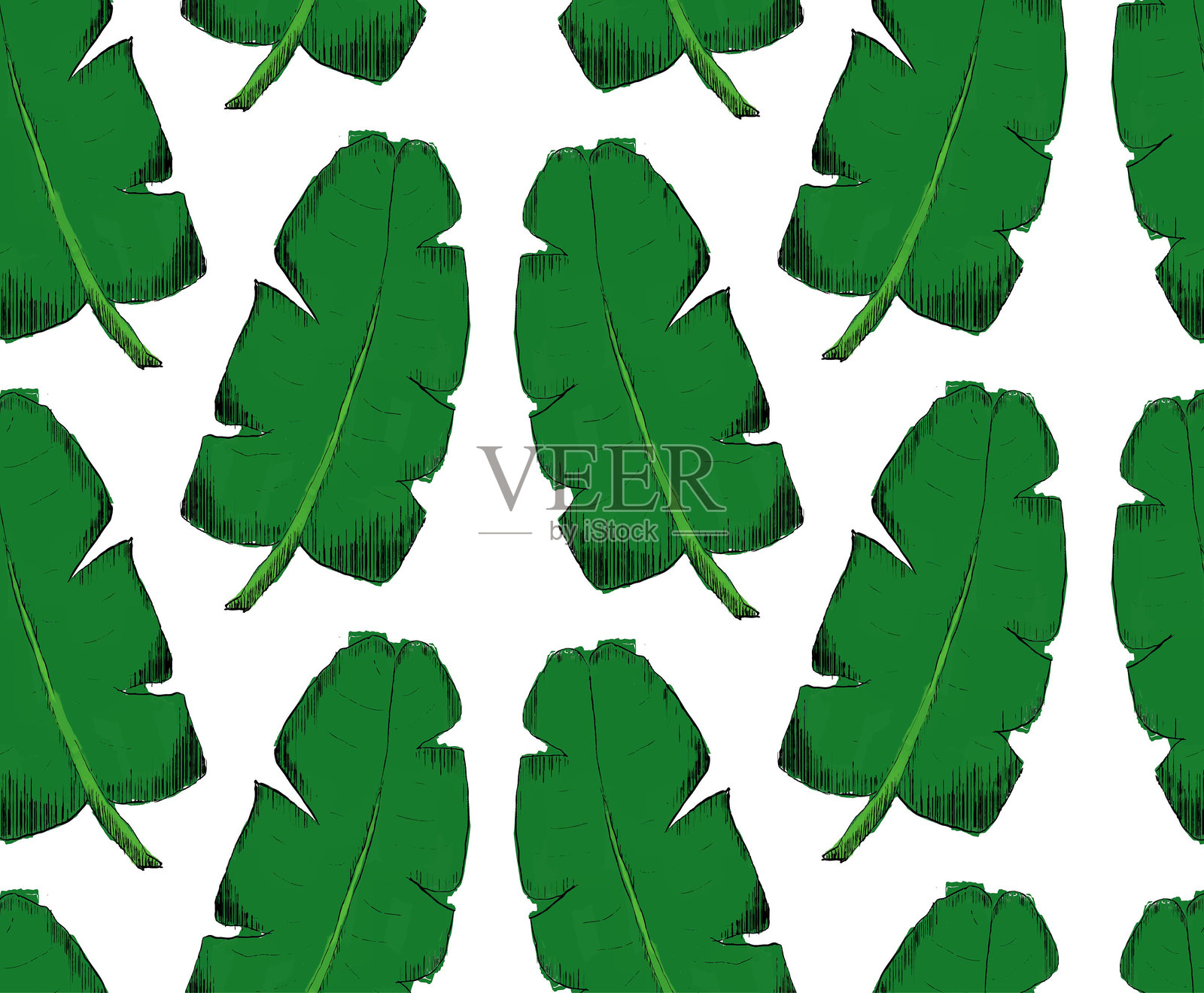 热带香蕉叶的图形无缝图案。美丽的全覆盖印花，手绘异国植物。泳装植物设计。矢量图。插画图片素材