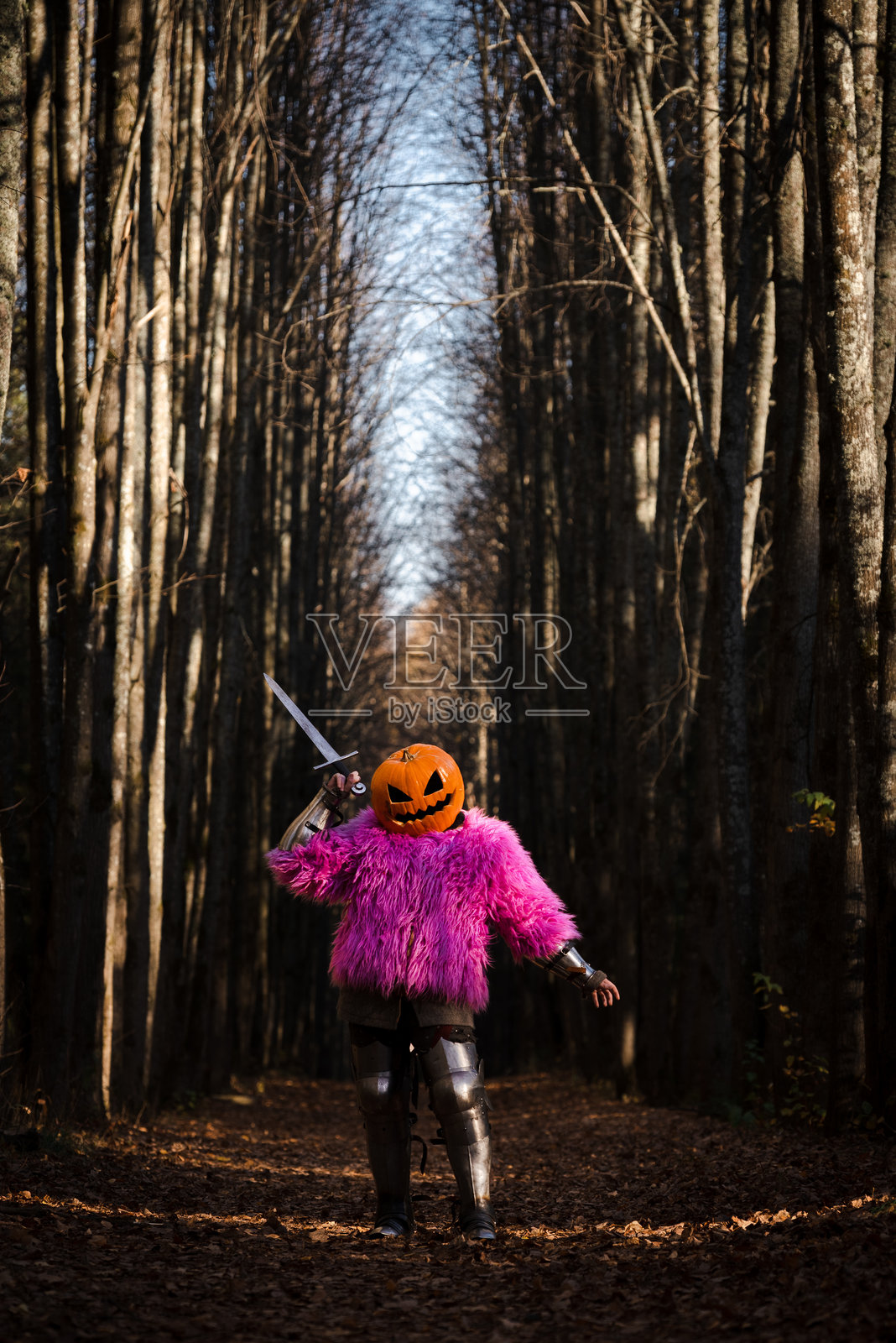 南瓜骑士照片摄影图片