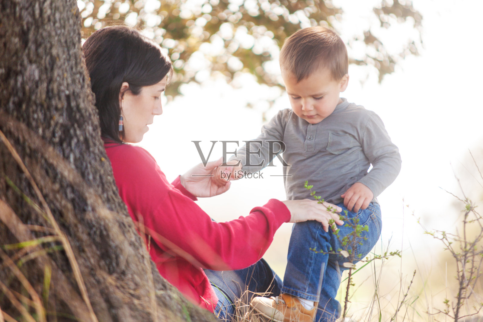 一位女性和一个孩子坐在树荫下。照片摄影图片