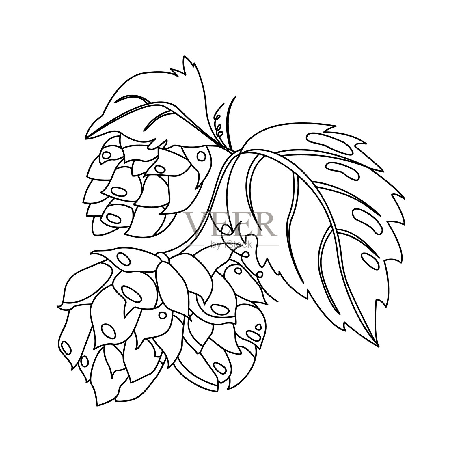 成熟的绿色啤酒花锥形矢量图标.啤酒,酒吧和酒精饮料的象征