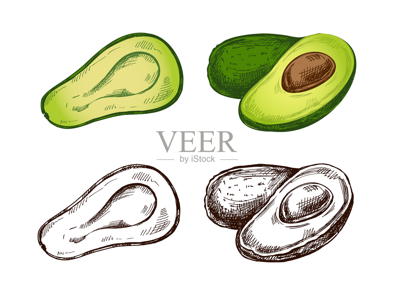 手绘鳄梨素描套装。成熟鳄梨的复古画作。黑色墨水轮廓的食品插图。墨西哥食品，菜肴，拉丁美洲。菜单插图。插画图片素材