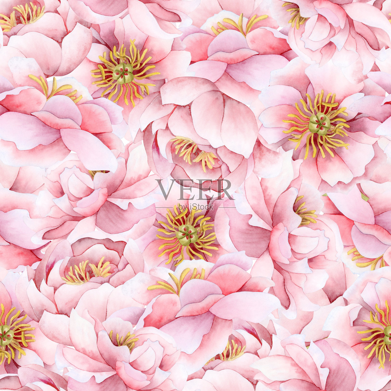 粉色牡丹花园水彩无缝图案。春季婚礼设计、面料和纺织品、情人节贺卡以及女孩文具的花卉玫瑰花束重复背景。照片摄影图片