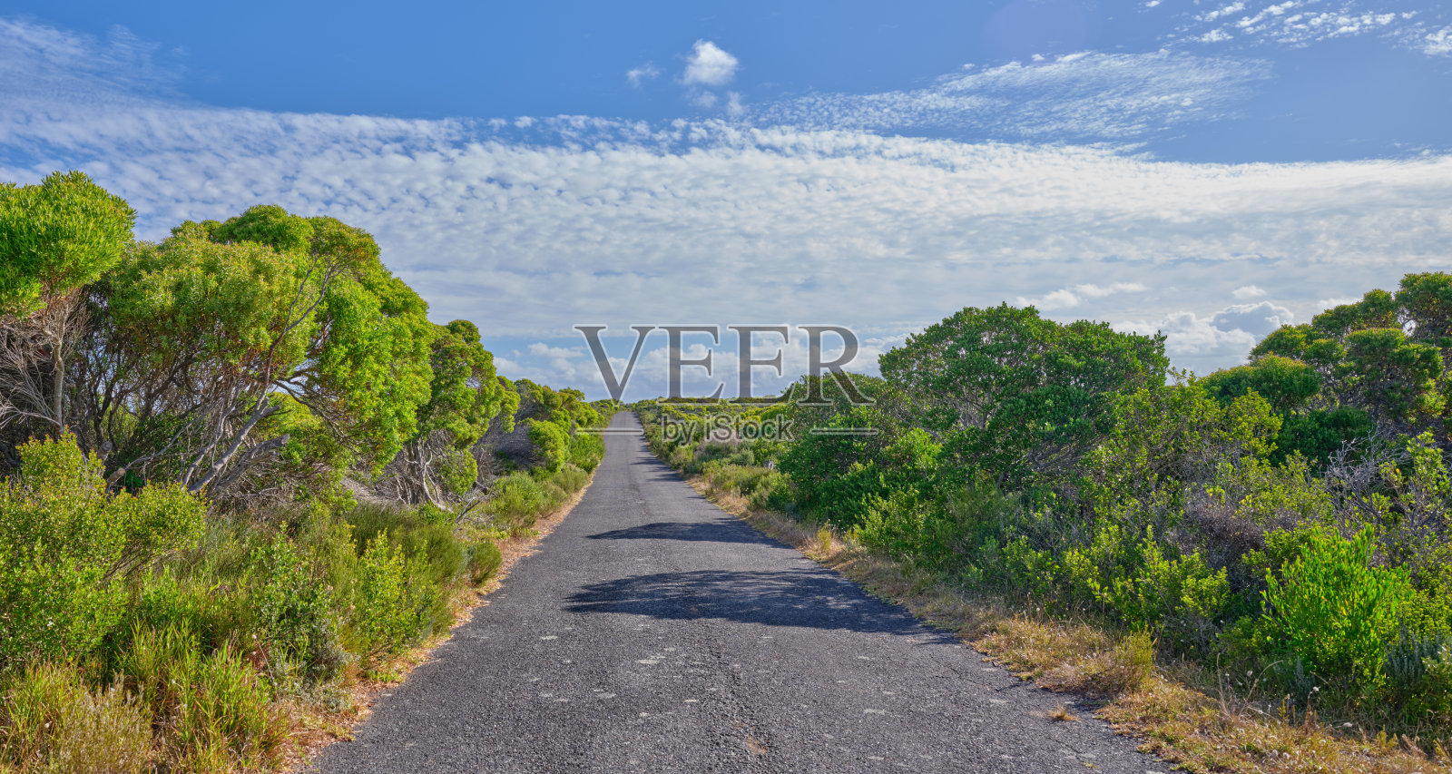 开普角国家公园的荒野照片摄影图片