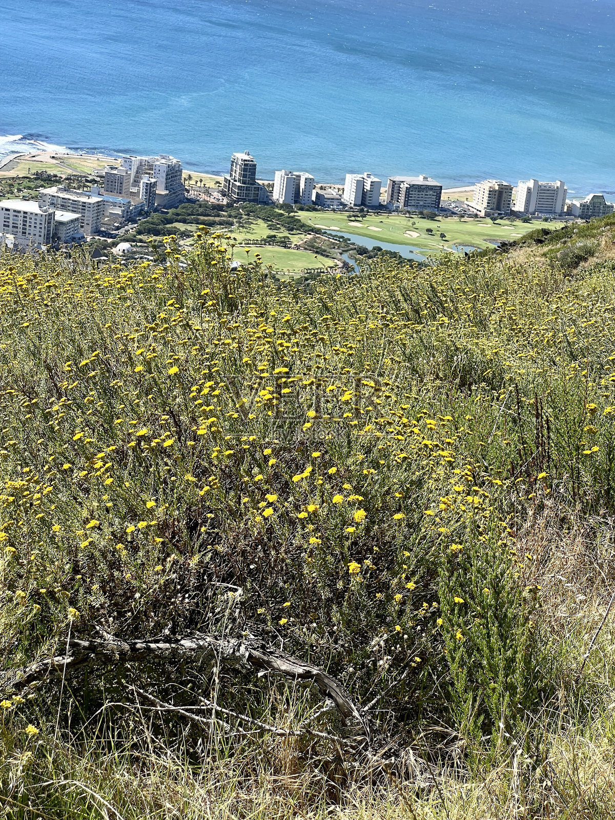 通往南非开普敦狮头山的徒步小径照片摄影图片