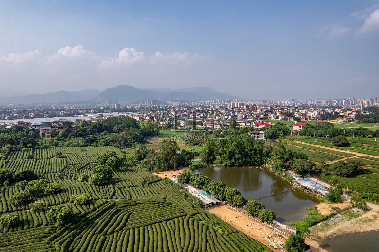 农村房屋和农田绿地的鸟瞰图照片摄影图片