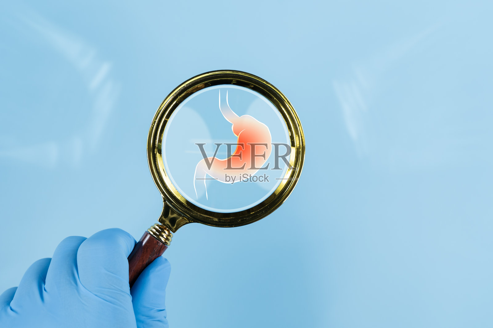 用放大镜观察胃部。一个人正用放大镜对着胃部的图片。照片摄影图片