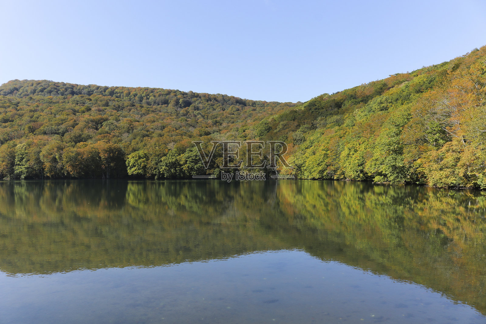 日本青森津轻七沼的初秋景色照片摄影图片
