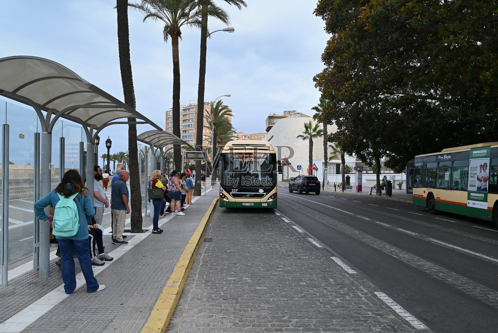 卡迪斯的公共交通巴士照片摄影图片