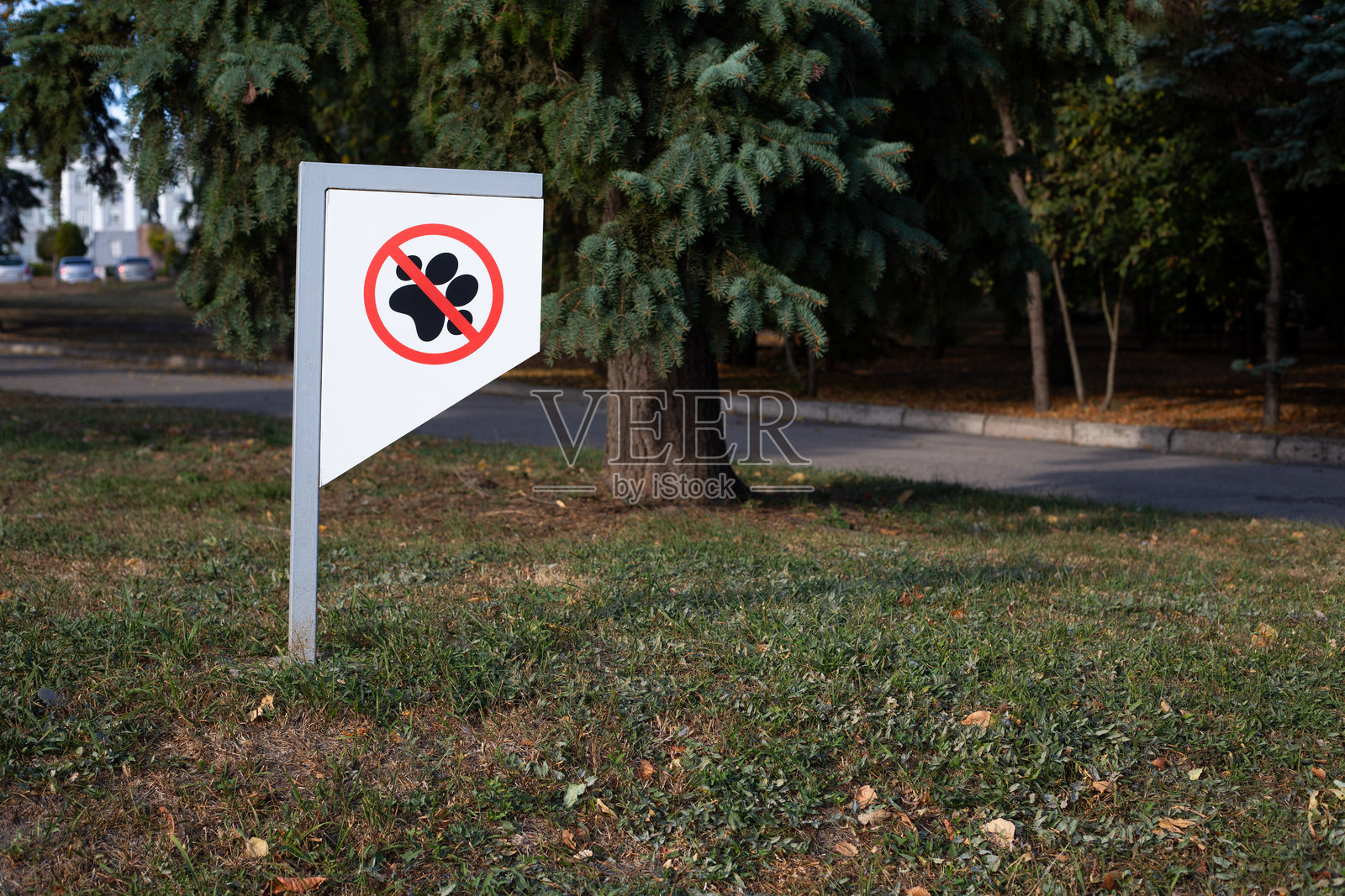 公园草坪上的禁止遛狗标志，宠物主人须知规则照片摄影图片