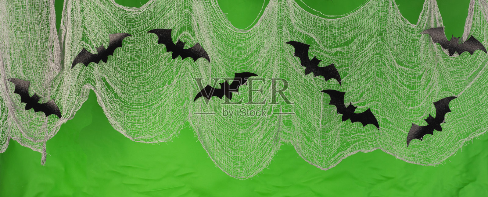 万圣节背景，绿色背景上有黑色蝙蝠。照片摄影图片