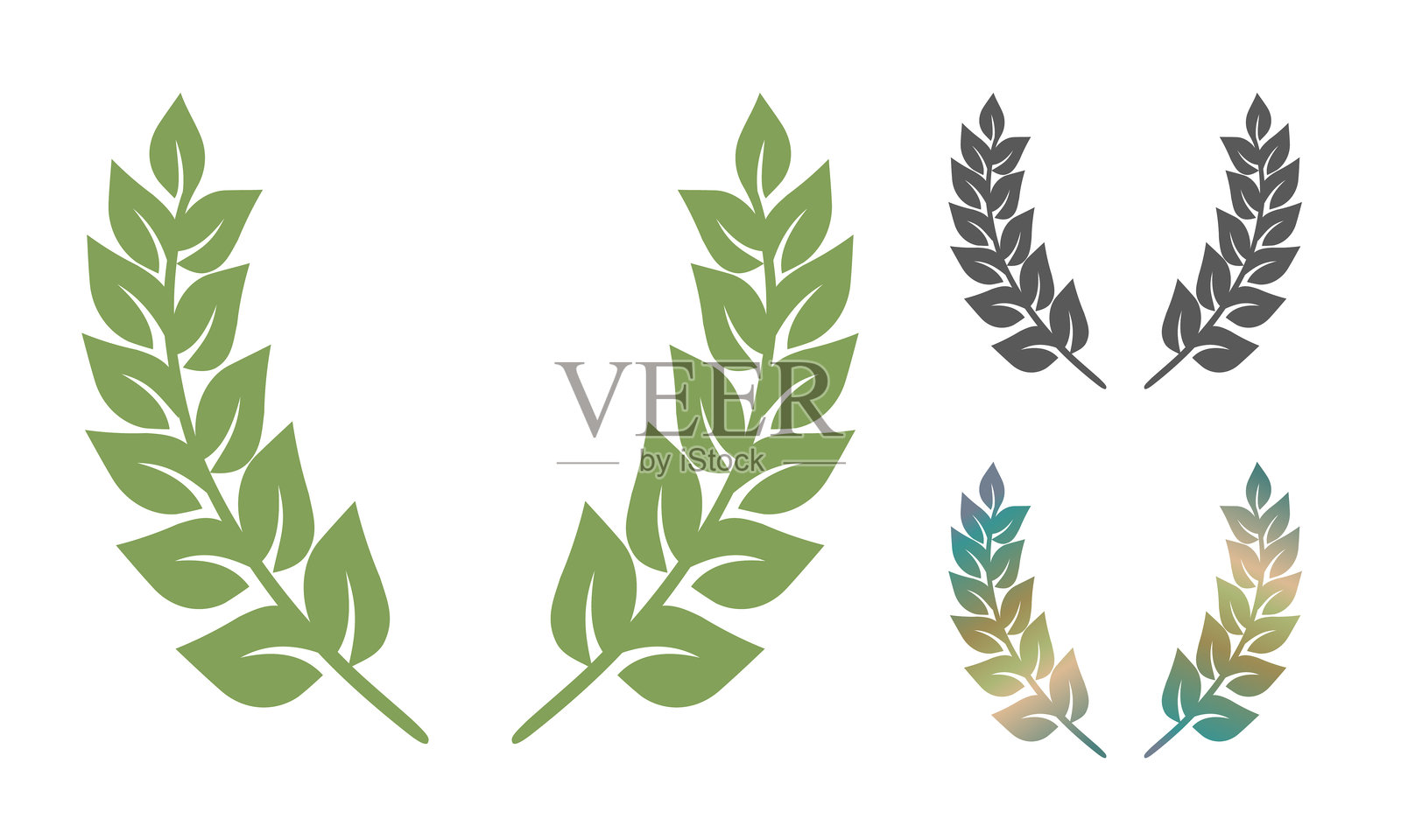 月桂树花环的矢量图标集。复古风格的绿色月桂树花环徽章。插画图片素材