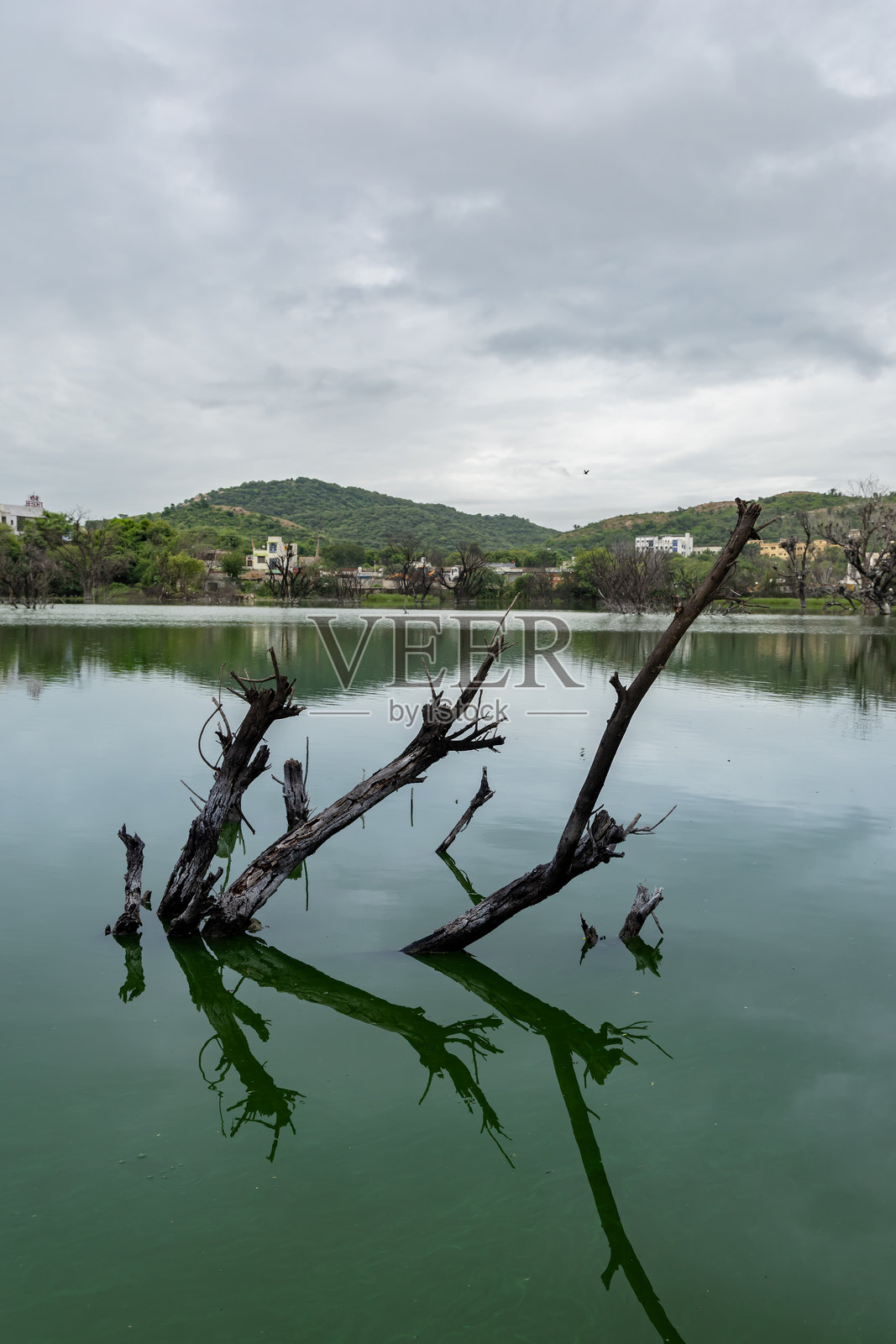 宁静的湖泊与山景，水面倒映着木材，在明亮而戏剧性的早晨天空下。照片摄影图片