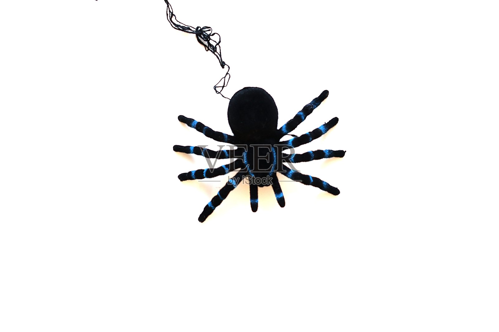 万圣节的蜘蛛悬挂下来照片摄影图片