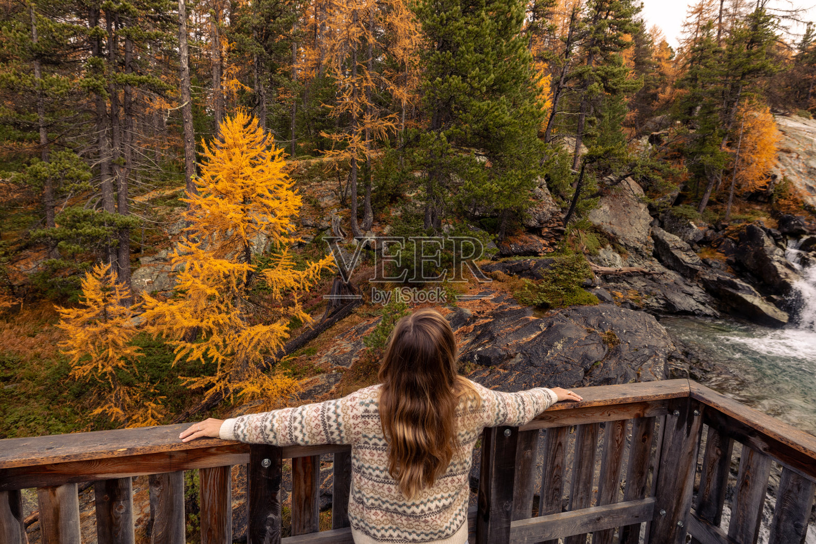 女人在木甲板上欣赏秋天的树叶照片摄影图片