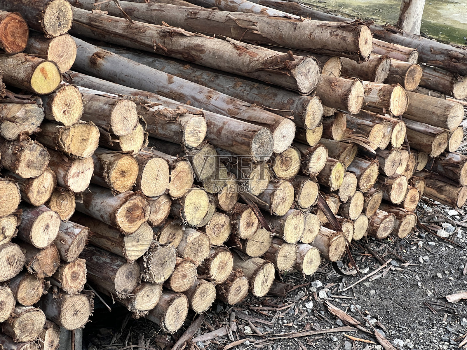 商店里的木材照片摄影图片