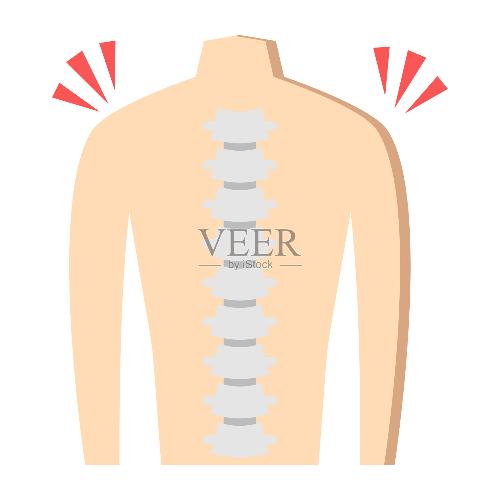 脊柱的矢量设计插画图片素材