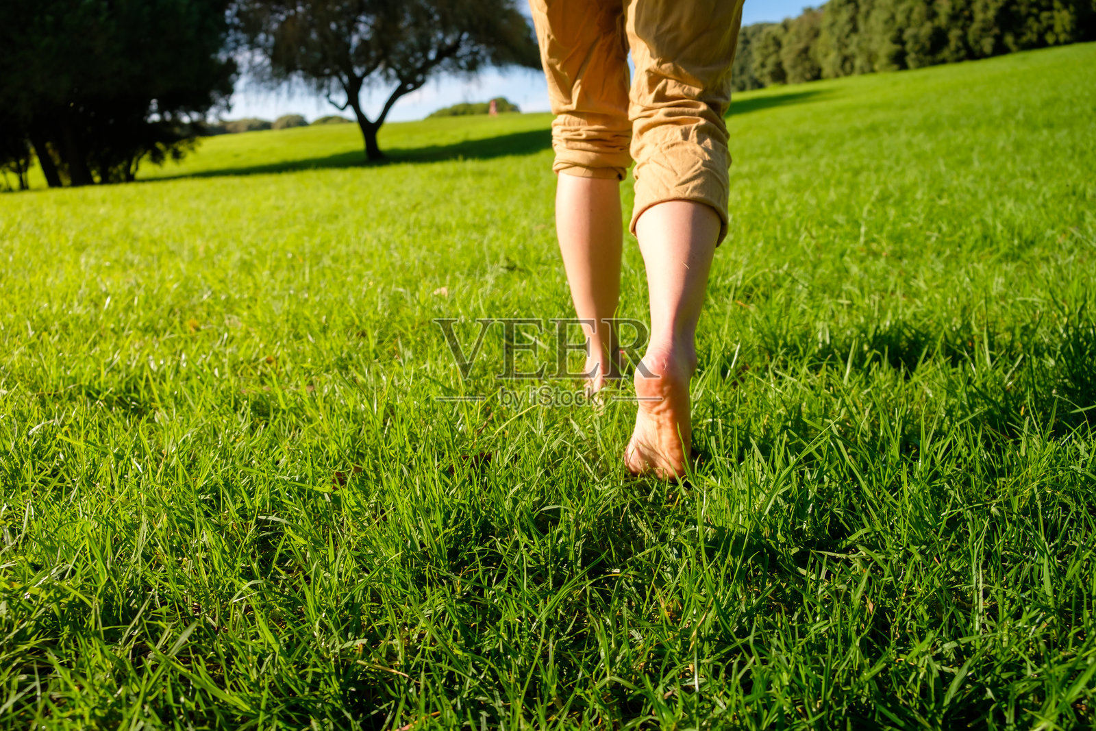 赤脚在草地上行走的女人。接地/大地疗法照片摄影图片