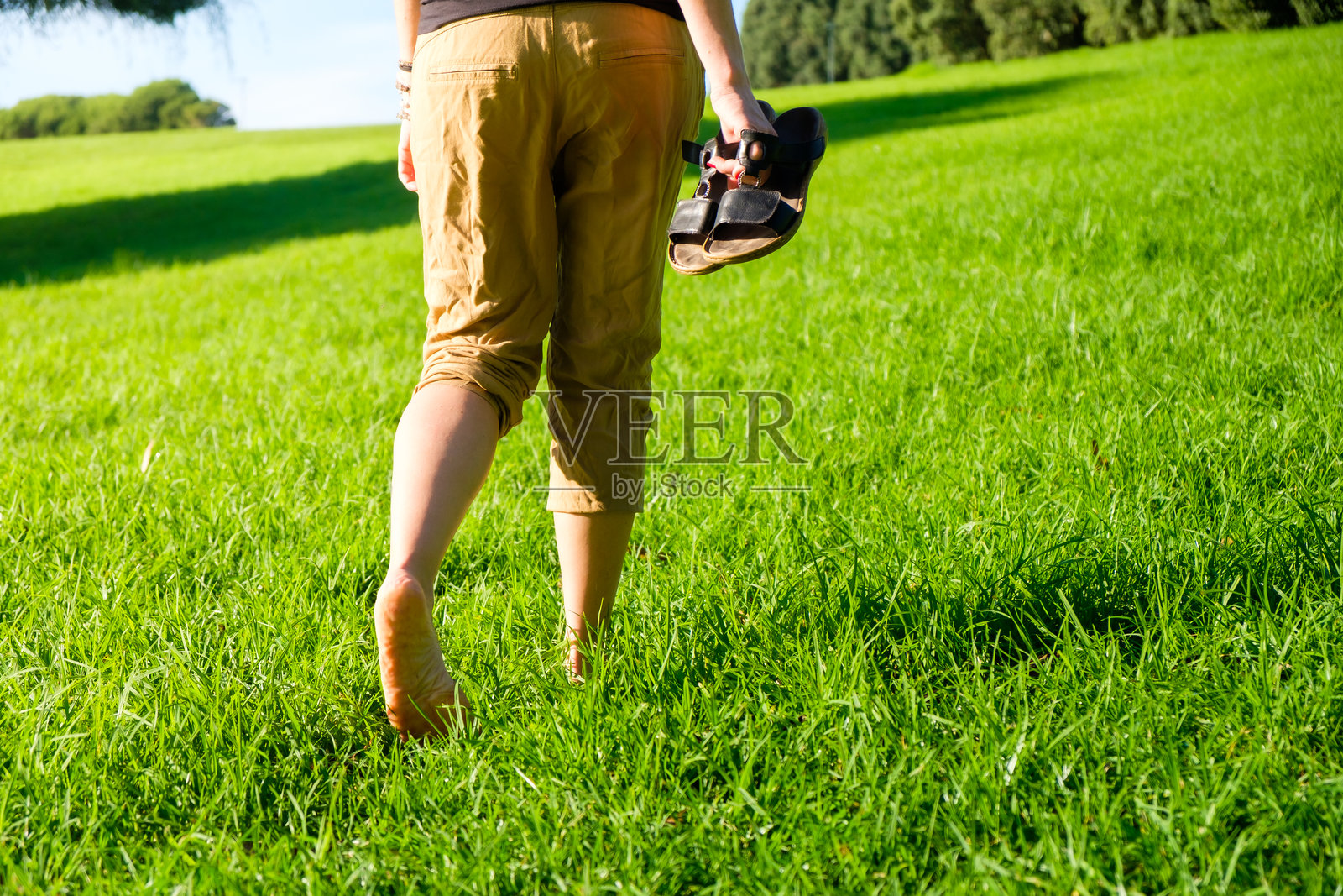 赤脚在草地上行走的女人。接地/大地疗法照片摄影图片