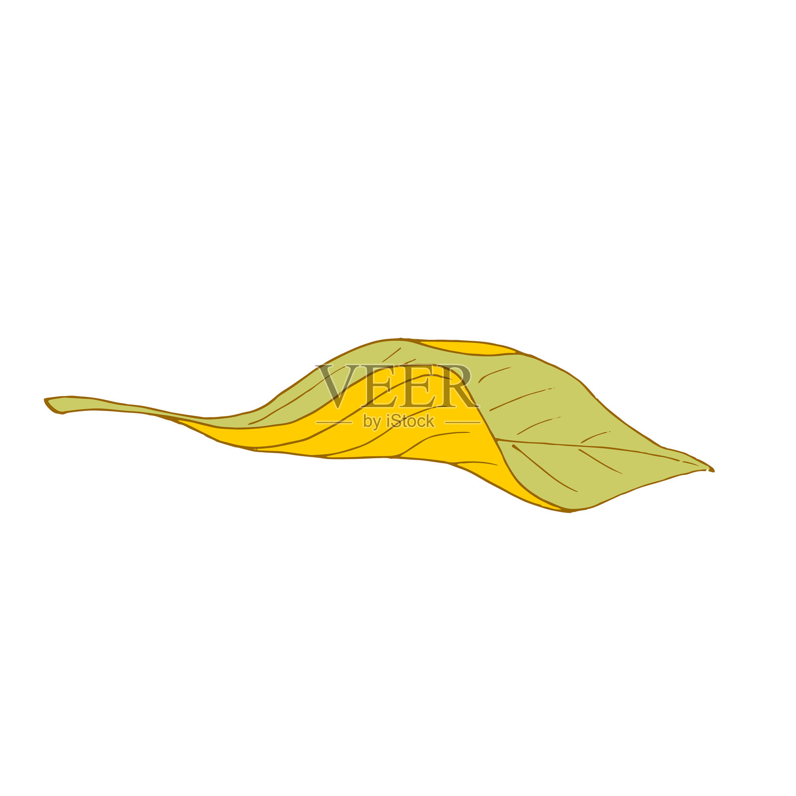 秋天的树叶在风中飞舞。树叶。矢量图插画图片素材