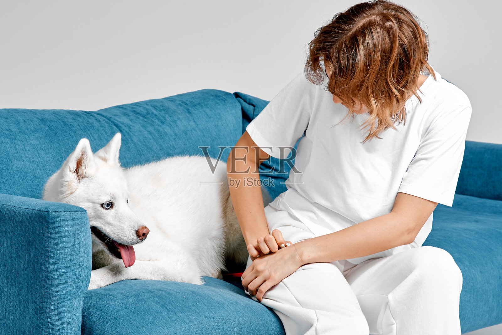 女人和哈士奇在蓝色沙发上放松照片摄影图片