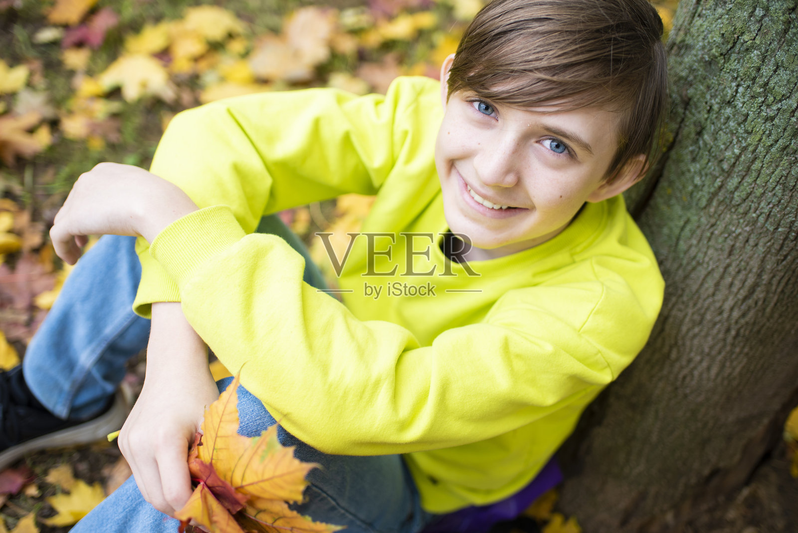 秋天公园里快乐的12岁男孩肖像。微笑的孩子坐在树旁，周围是黄色的枫叶。照片摄影图片