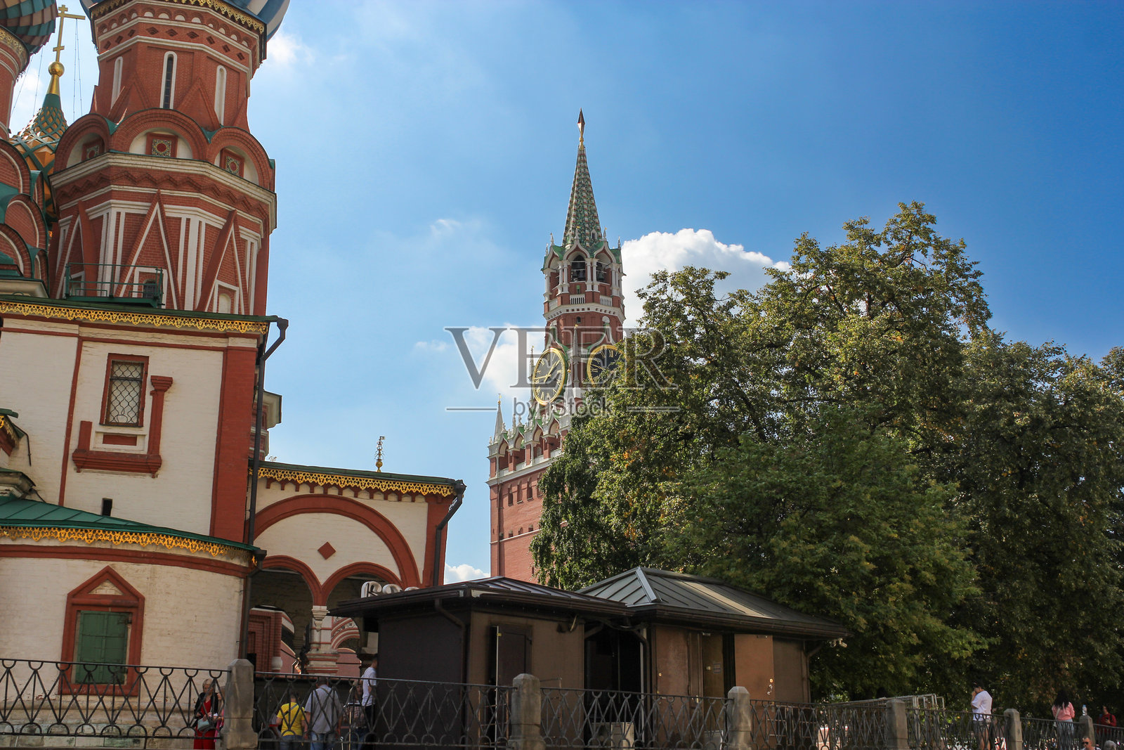 树后面的斯巴斯卡塔。照片摄影图片