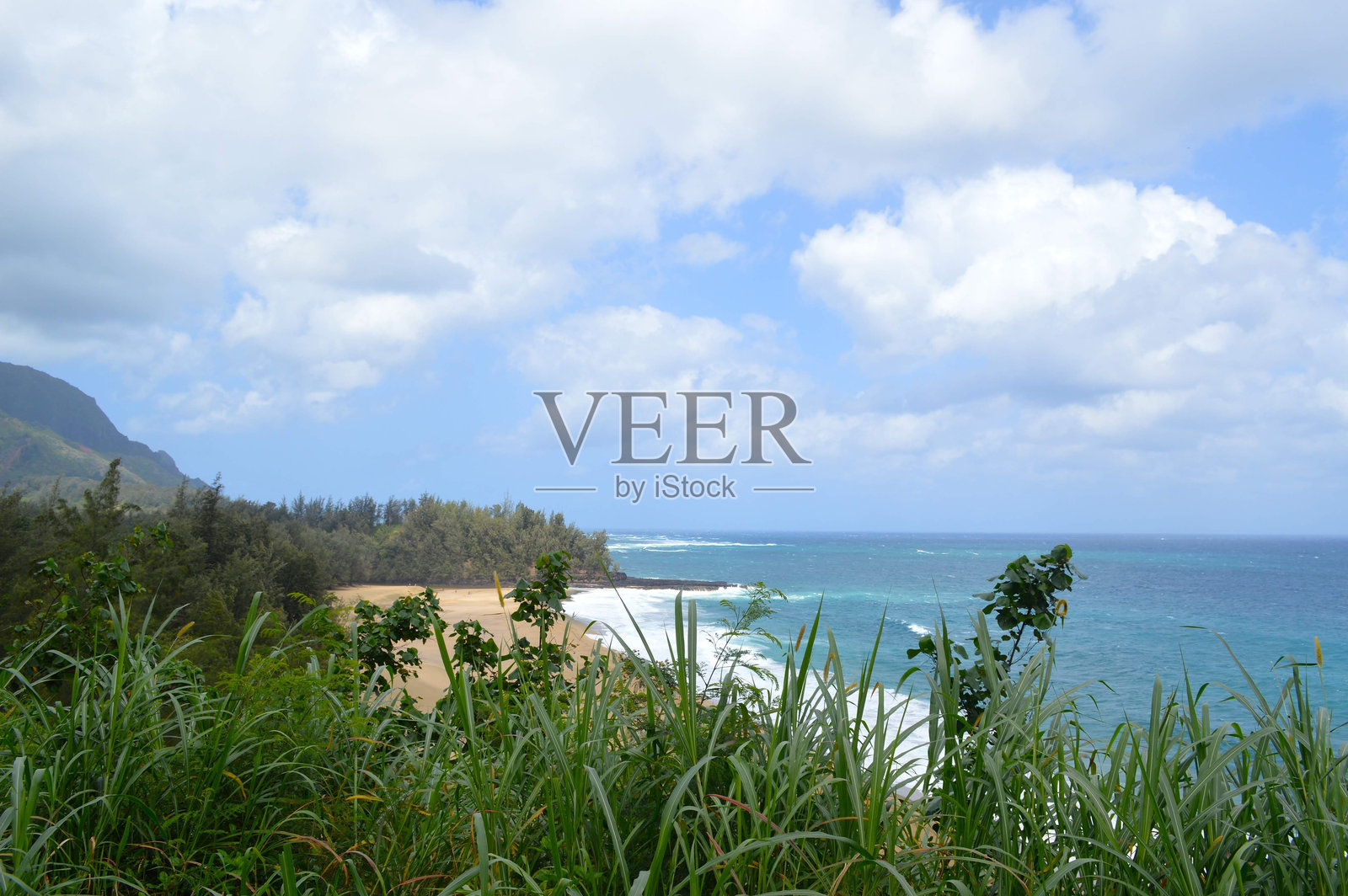 夏威夷海岸线照片摄影图片