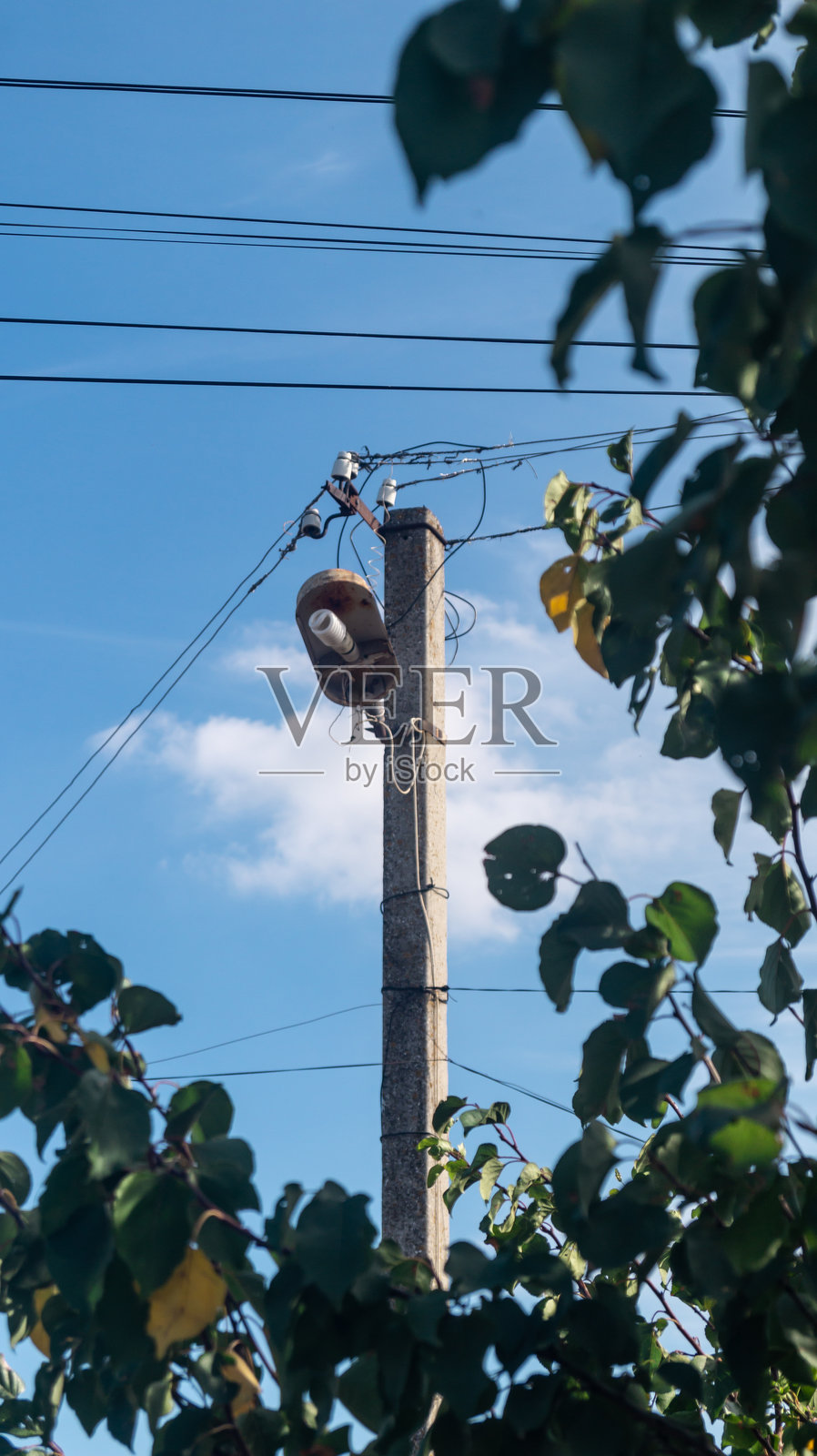 一根灯柱周围缠绕着电线，背景是蓝天和绿叶的阴影。照片摄影图片