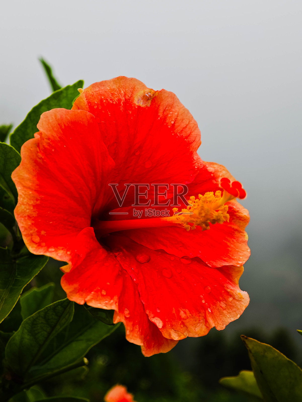 考苏恩雾海观景点，泰国那空西塔玛叻省的热门旅游景点照片摄影图片