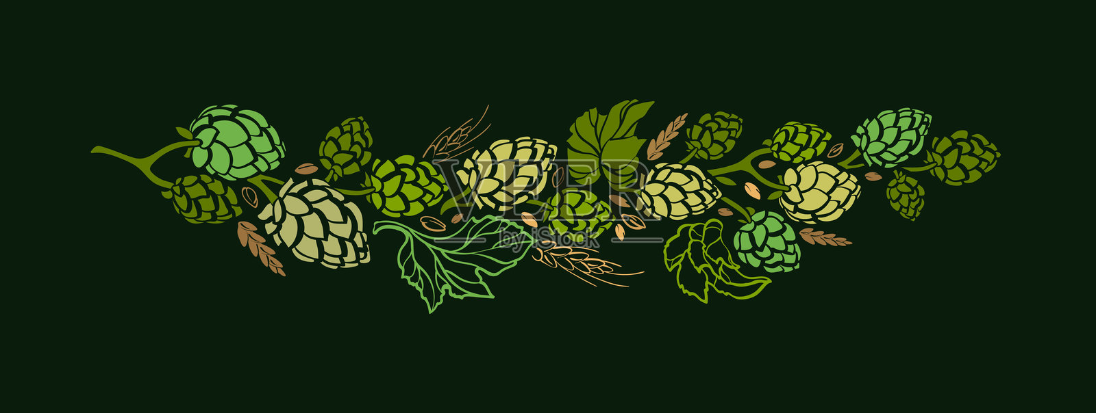 啤酒花枝、麦芽。草本绿色标签复古边框插画图片素材