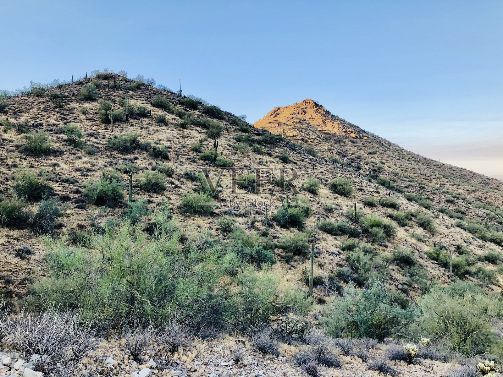 亚利桑那州汤姆拇指登山口的清晨徒步旅行令人惊叹的景色。适合带狗，路径易于跟随。丰富的植物和动物。美丽的风景，日出和日落。照片摄影图片