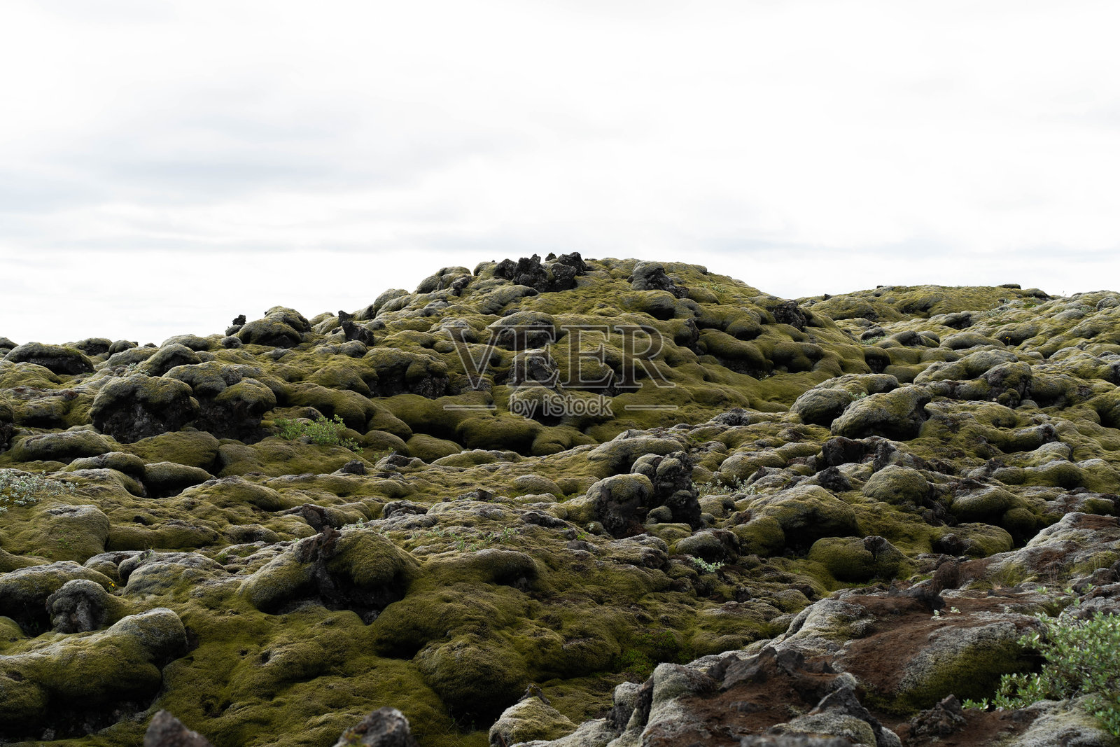 冰岛棕绿色苔藓田野照片摄影图片