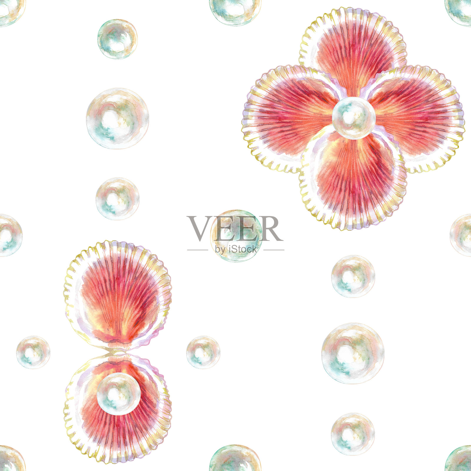 扇贝的图案，双壳海洋软体动物，带有珍珠的凹槽壳体，水彩画。红扇贝，花扇贝，阿尔戈扇贝。这个贝壳的一侧呈凹形。圆形，带有放射状肋条和两个小翼，橙色。照片摄影图片