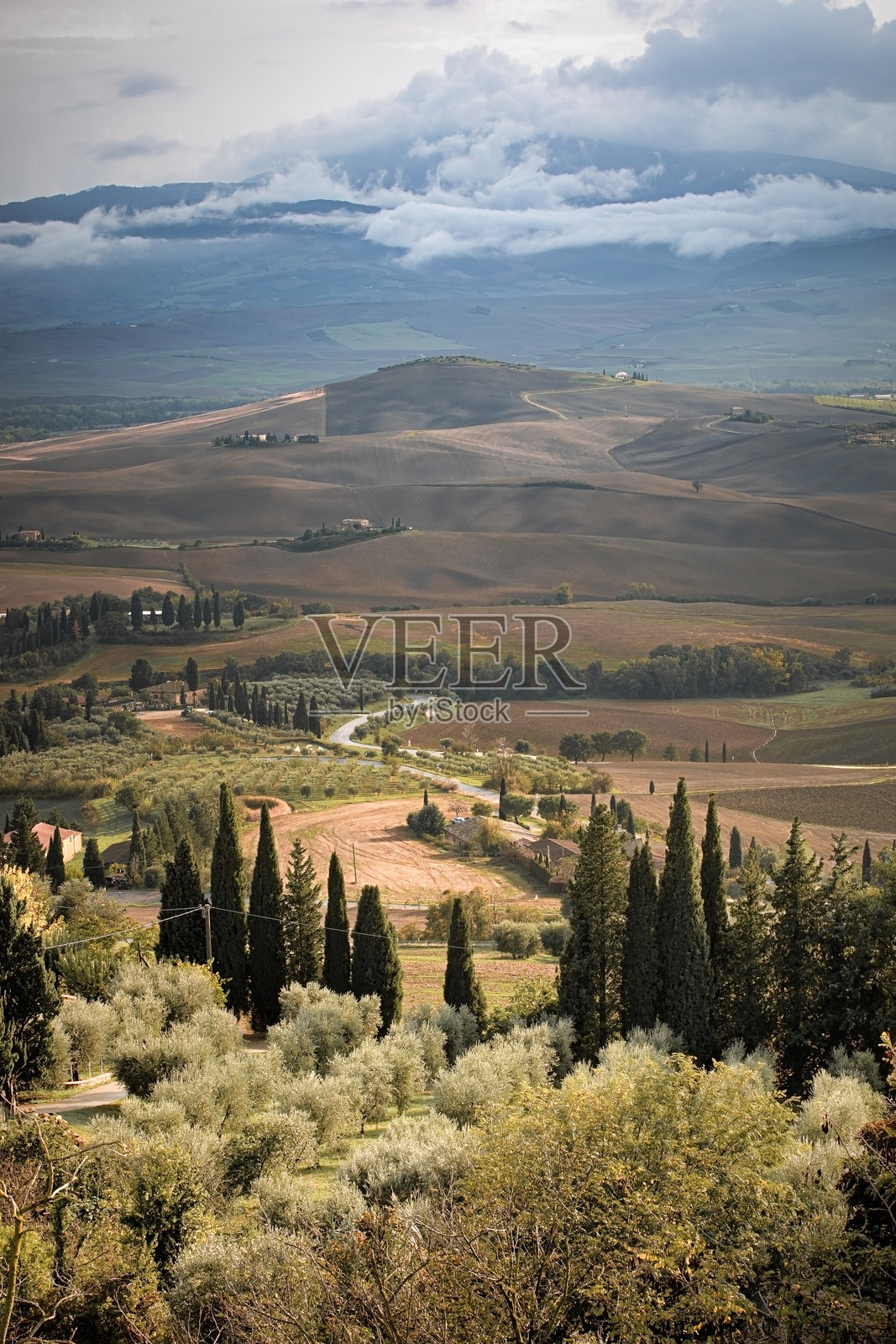 托斯卡纳瓦尔多尔恰的起伏山丘和橄榄树林照片摄影图片