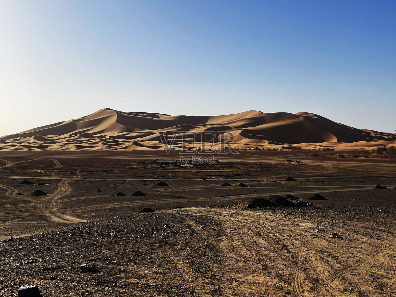 里萨尼埃尔格·舍比照片摄影图片