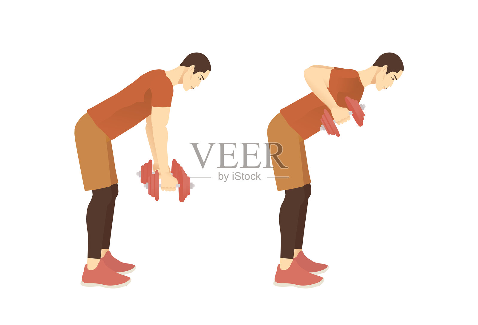 男性进行哑铃硬拉背部划船的两步健身动作。关于增肌和提升新陈代谢的加重锻炼示意图。插画图片素材