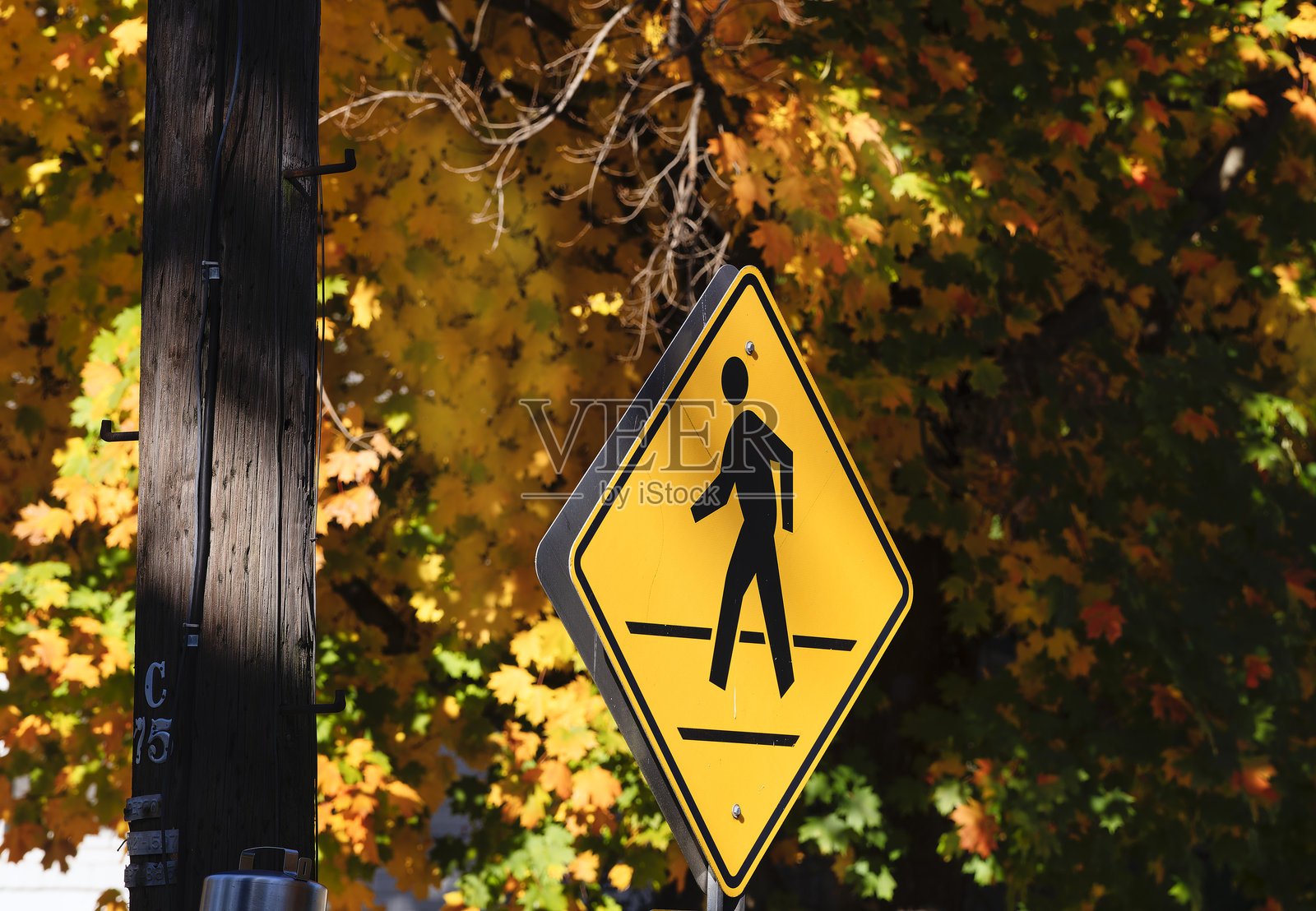 秋天的路标照片摄影图片