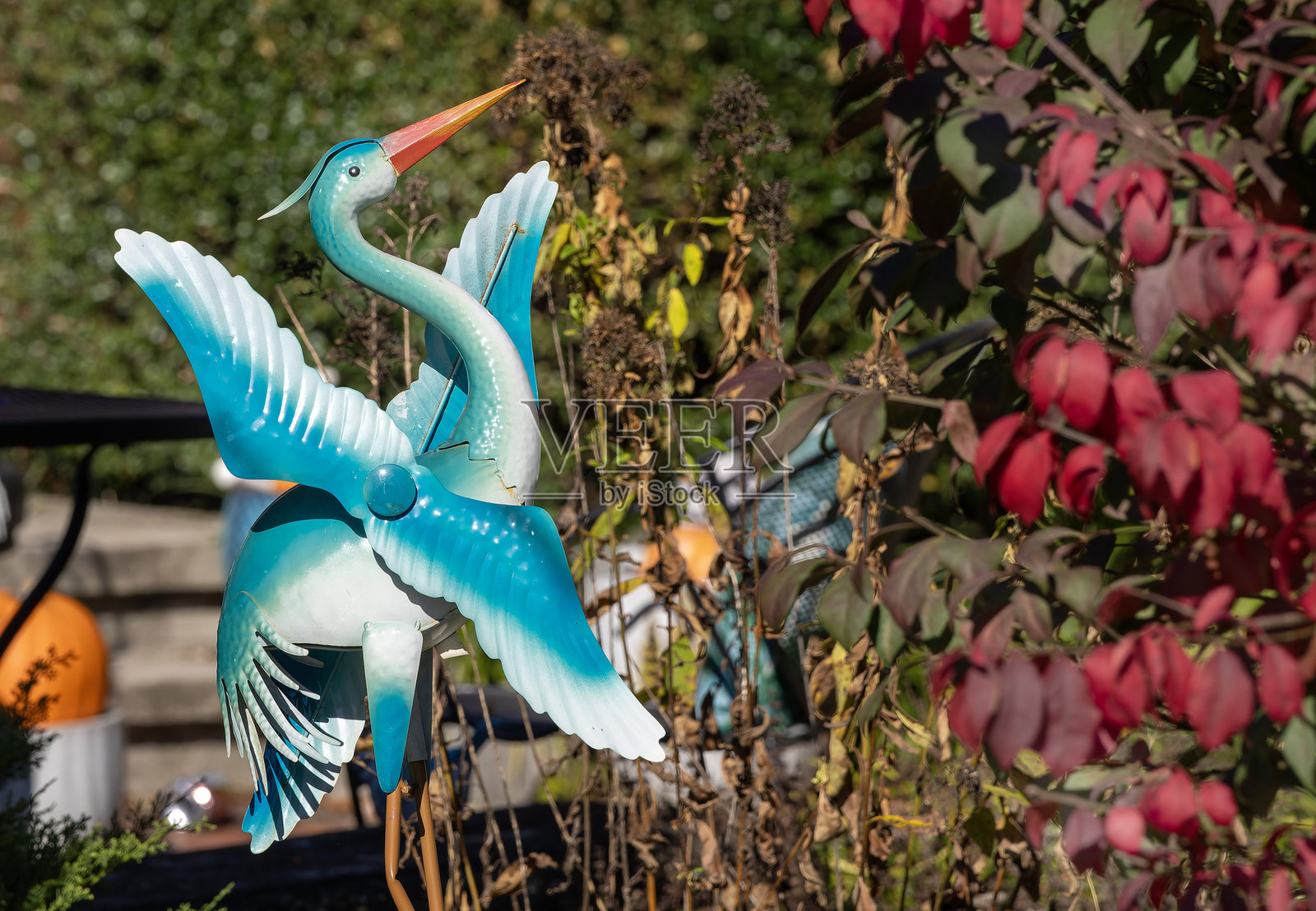 花园里美丽的风铃照片摄影图片
