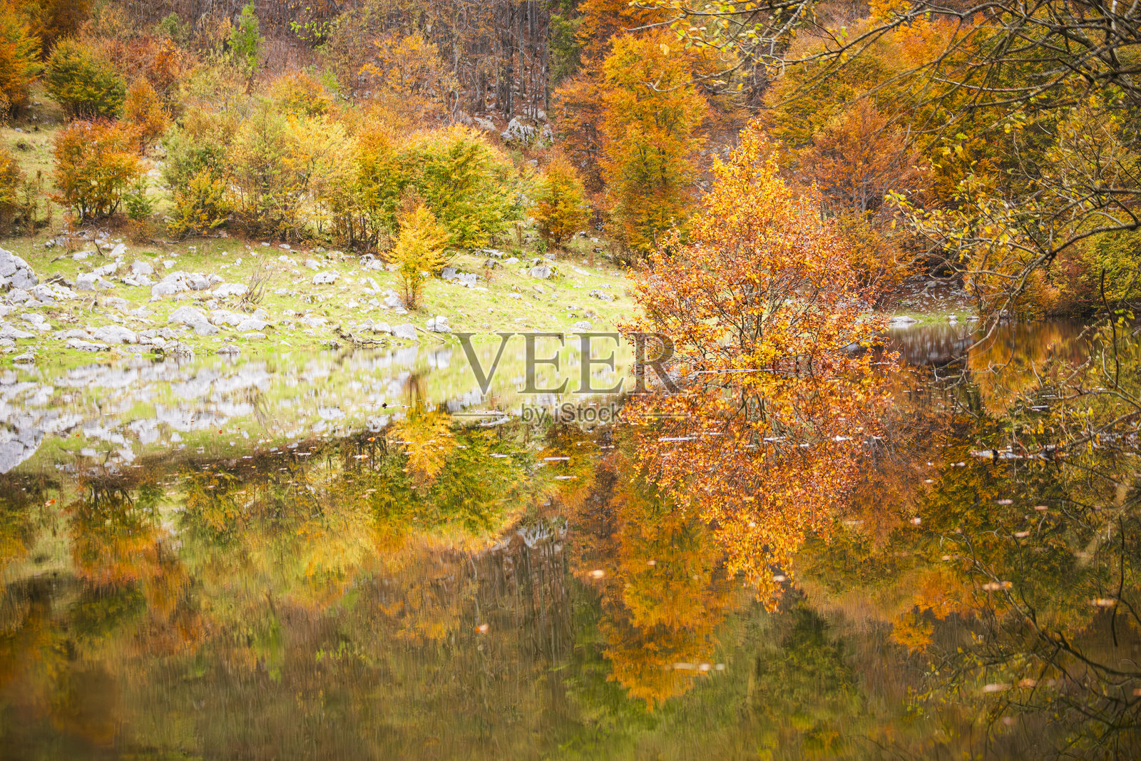 塞拉卡尔尼察的秋季版本照片摄影图片