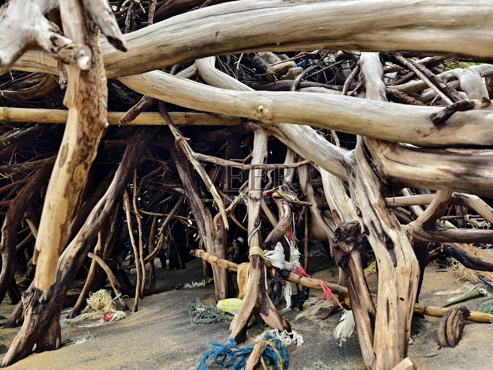 一棵树桩目前正躺在靠近海洋的沙滩上照片摄影图片