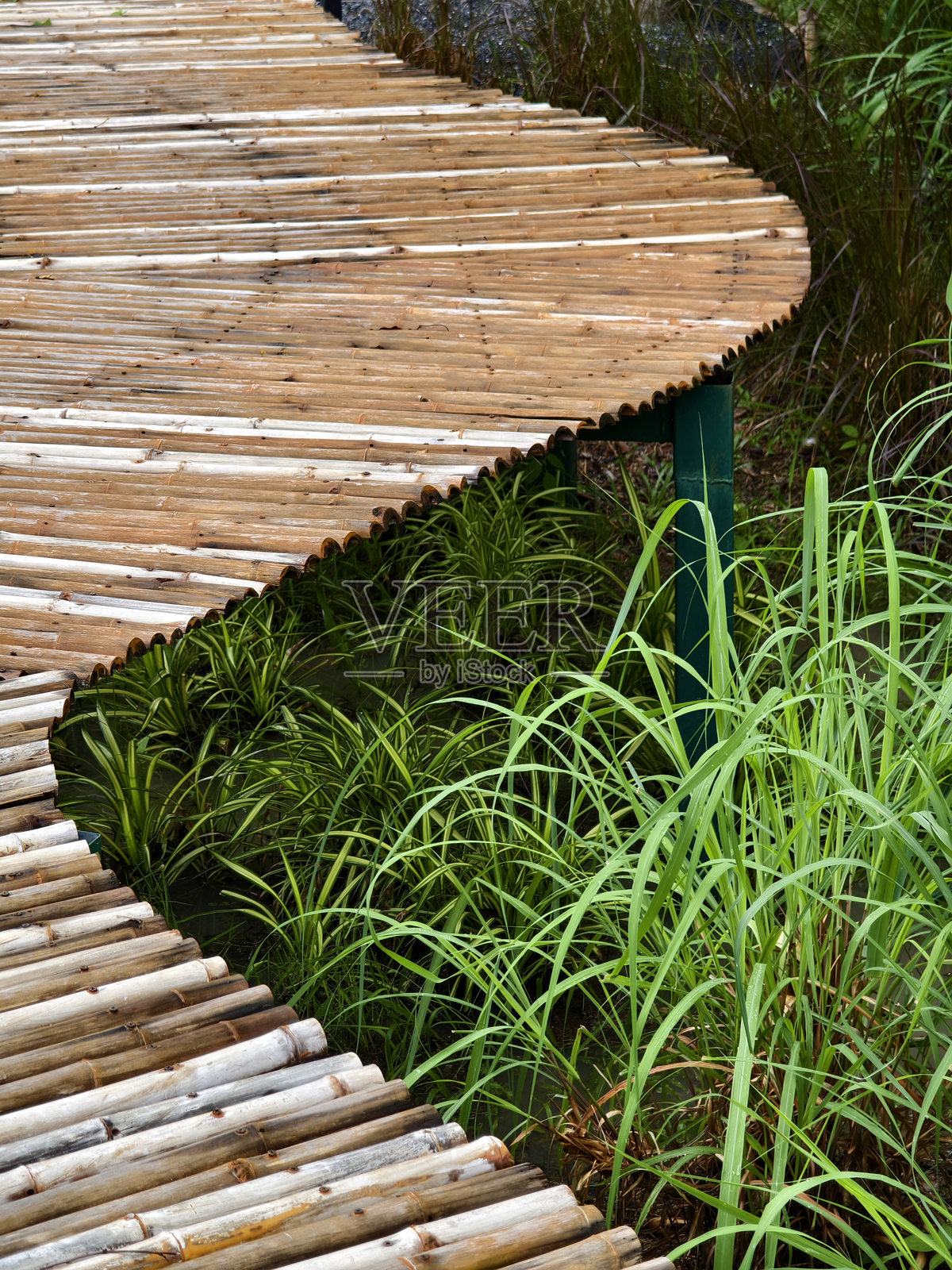 公园里一条木栈道，四周被树木和草坪环绕，靠近水流。照片摄影图片