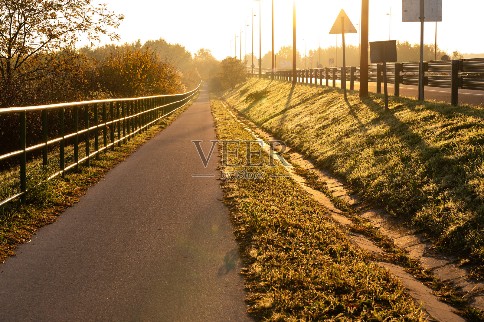 阳光照耀的自行车道上，草地上投下早晨的阴影照片摄影图片
