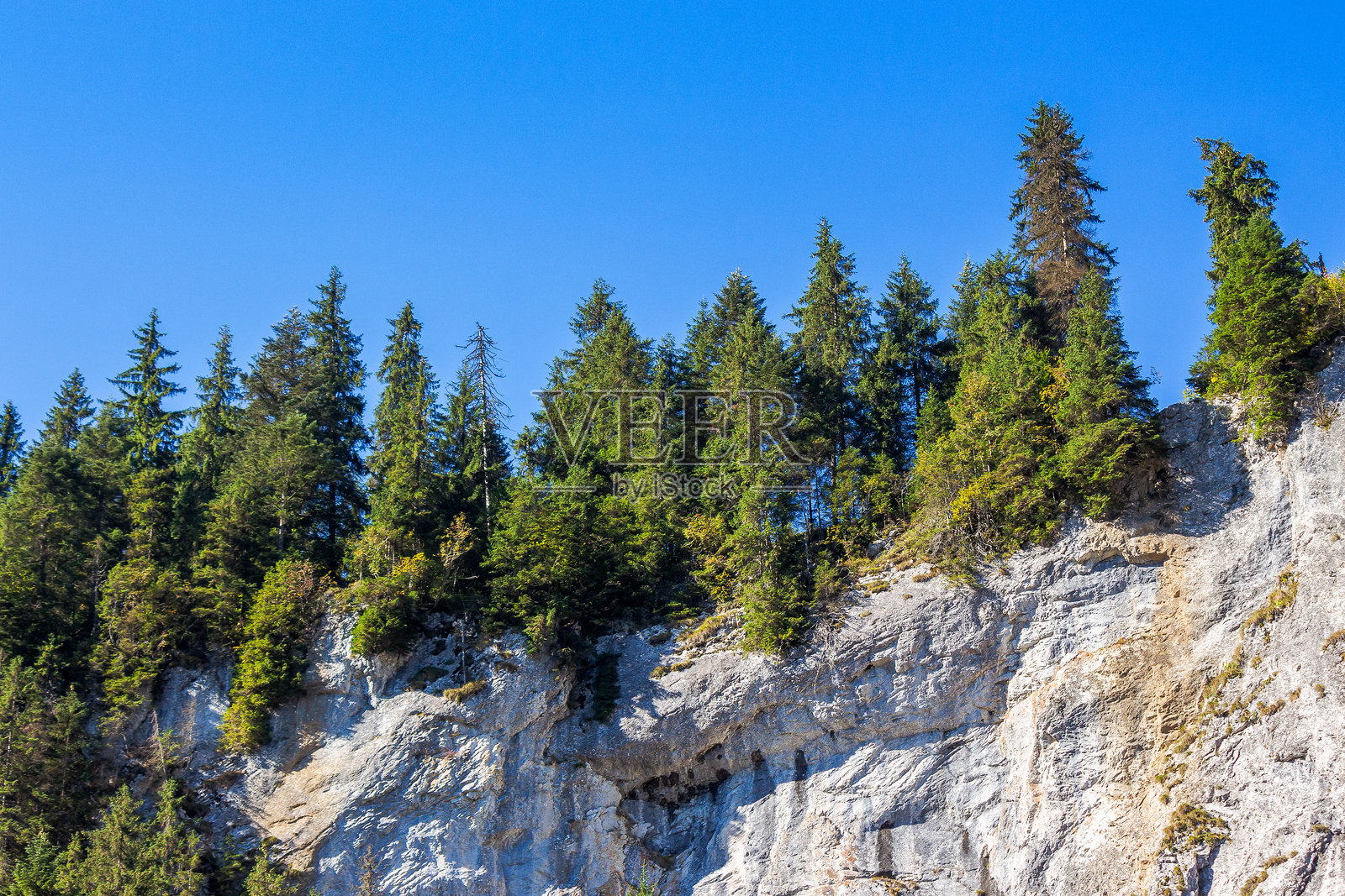 罗马尼亚阿普塞尼自然公园的帕迪斯高原风景照片摄影图片