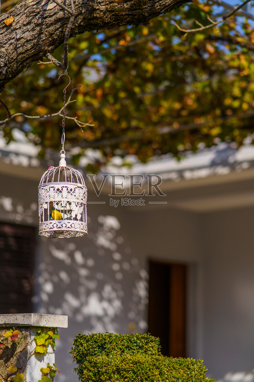 鸟笼照片摄影图片