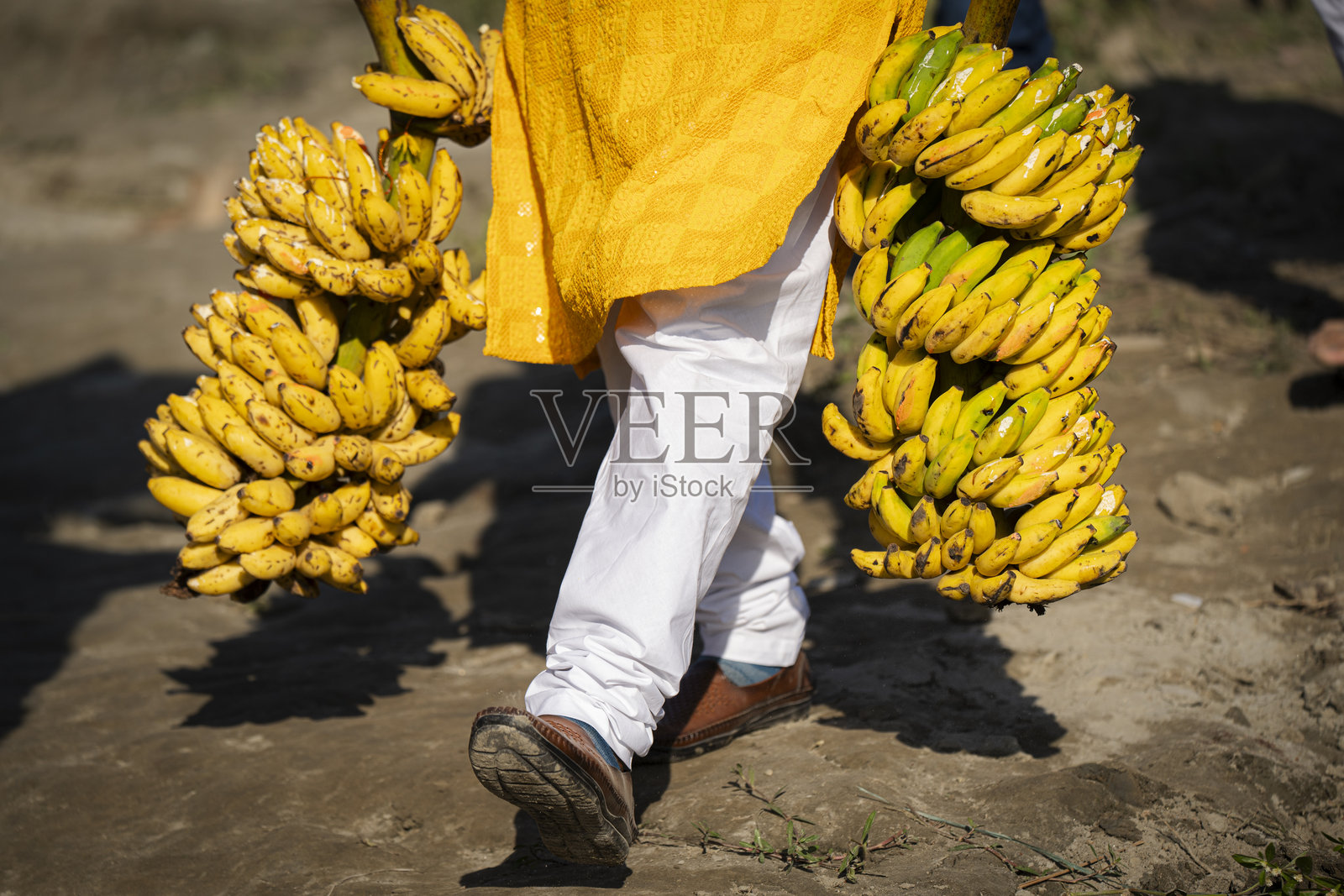 印度的查哈节庆祝活动照片摄影图片