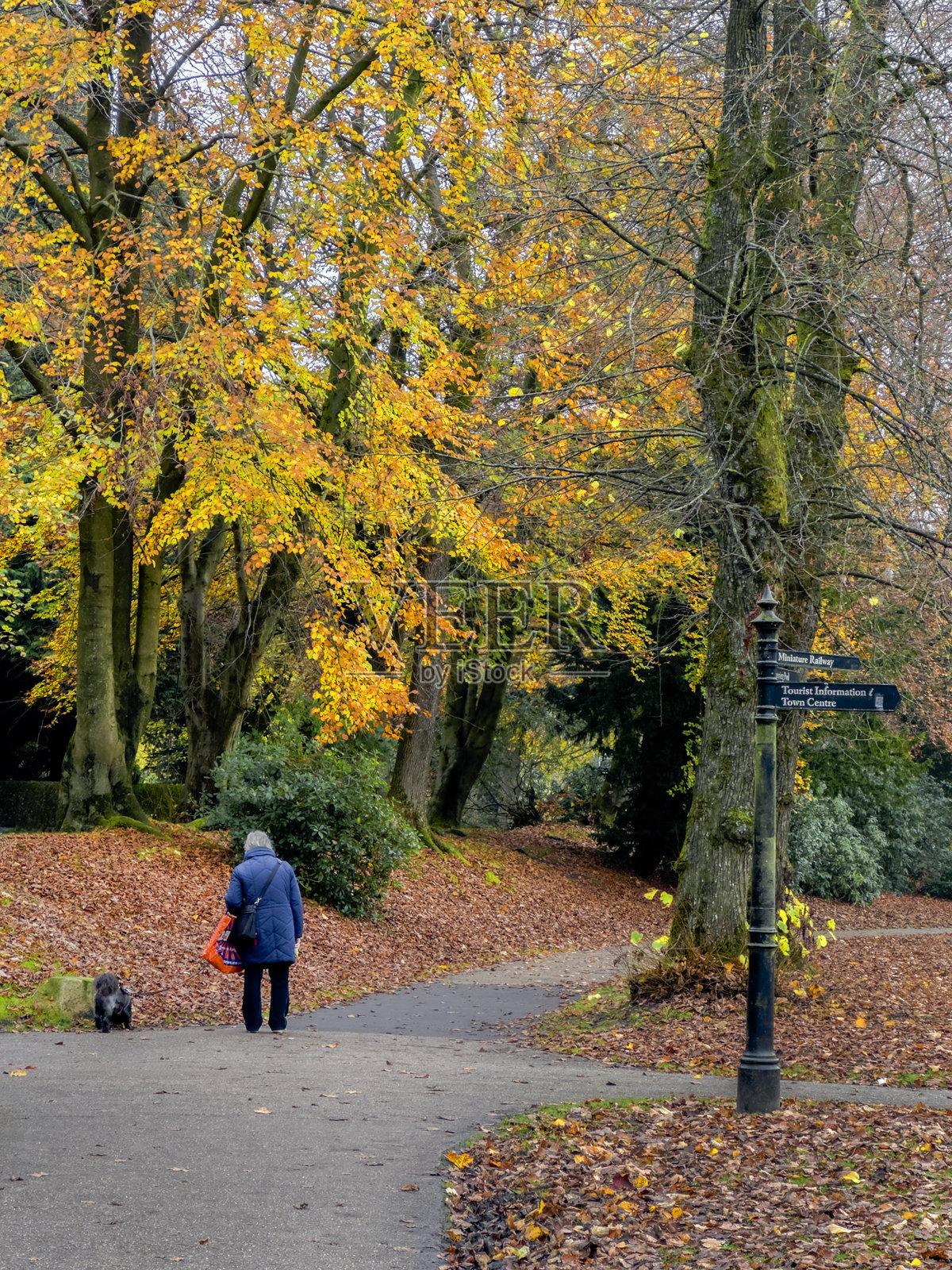 巴克斯顿的亭园照片摄影图片