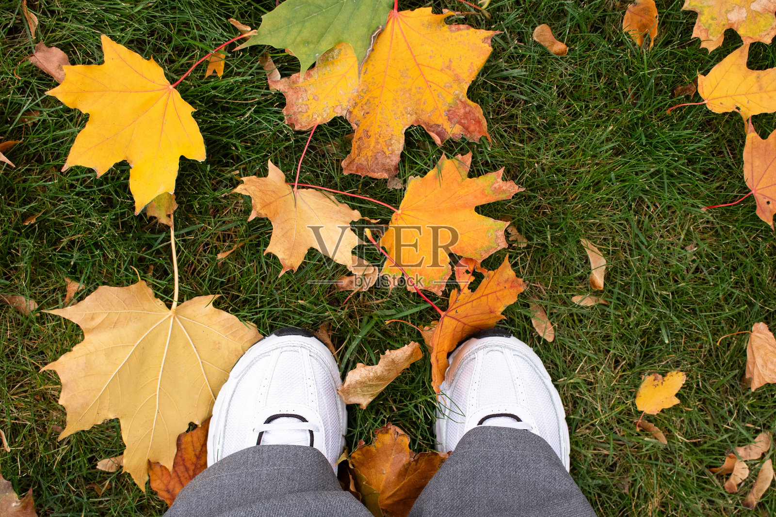 秋天在公园散步。秋季鞋子与落叶相映成趣。落叶。照片摄影图片