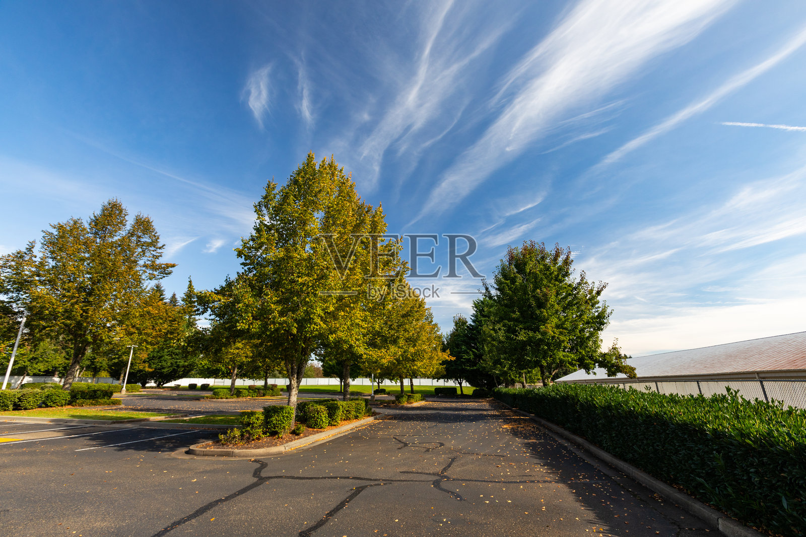 五彩斑斓的秋天树木，深蓝色的天空，从空旷的停车场拍摄。照片摄影图片