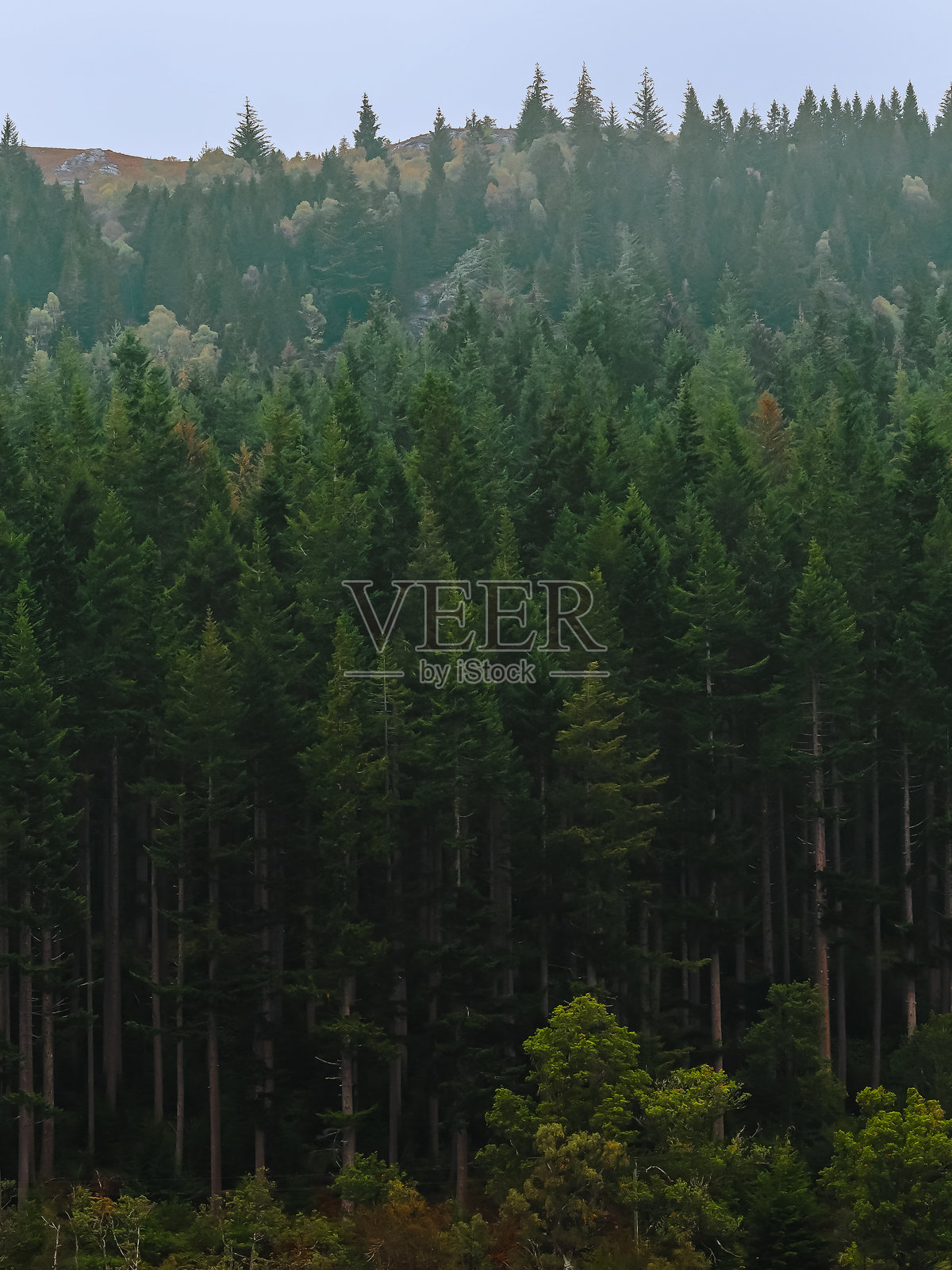 苏格兰高地照片摄影图片